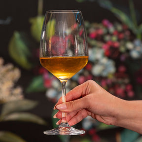 Jogo de 6 Taças para Vinho em Cristal Bohemia 455ml Haus Concept Aroma