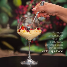 Jogo de 6 Taças para Gin Tônica em Cristal Bohemia 580ml Haus Concept Aroma