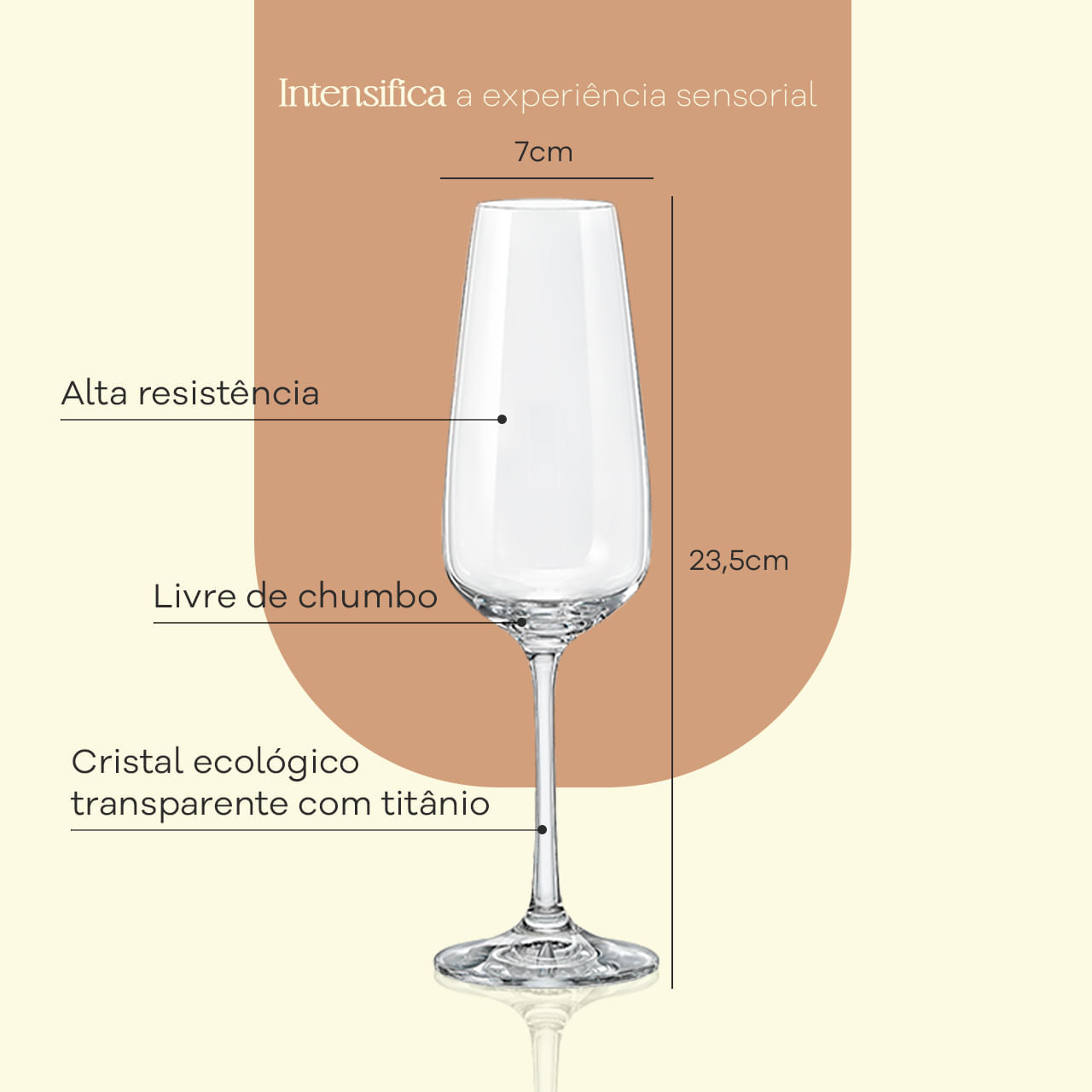 Jogo de 6 Taças para Espumante em Cristal Bohemia 190ml Haus Concept Aroma