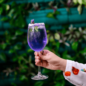 Taça para Vinho Tinto em Cristal Bohemia 450ml Haus Concept Fizzy