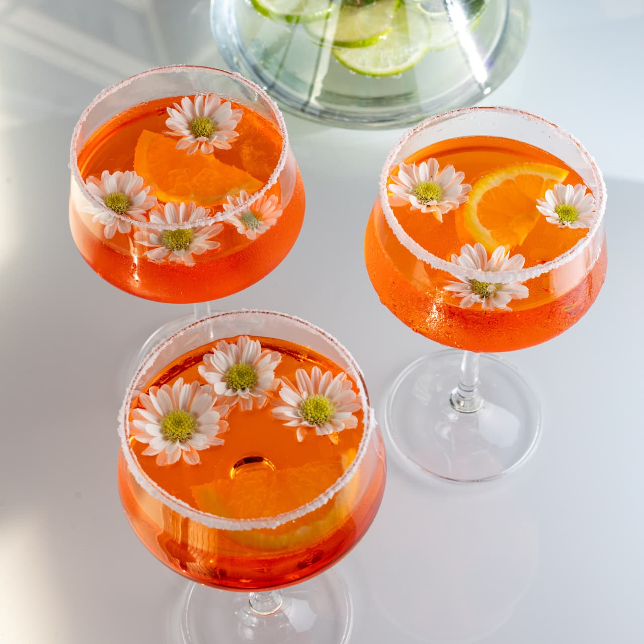 Taça para Espumante Vintage em Cristal Bohemia 220ml Haus Concept Pleasure