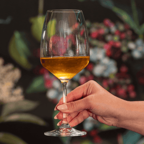 Taça para Água em Cristal Bohemia 560ml Haus Concept Aroma