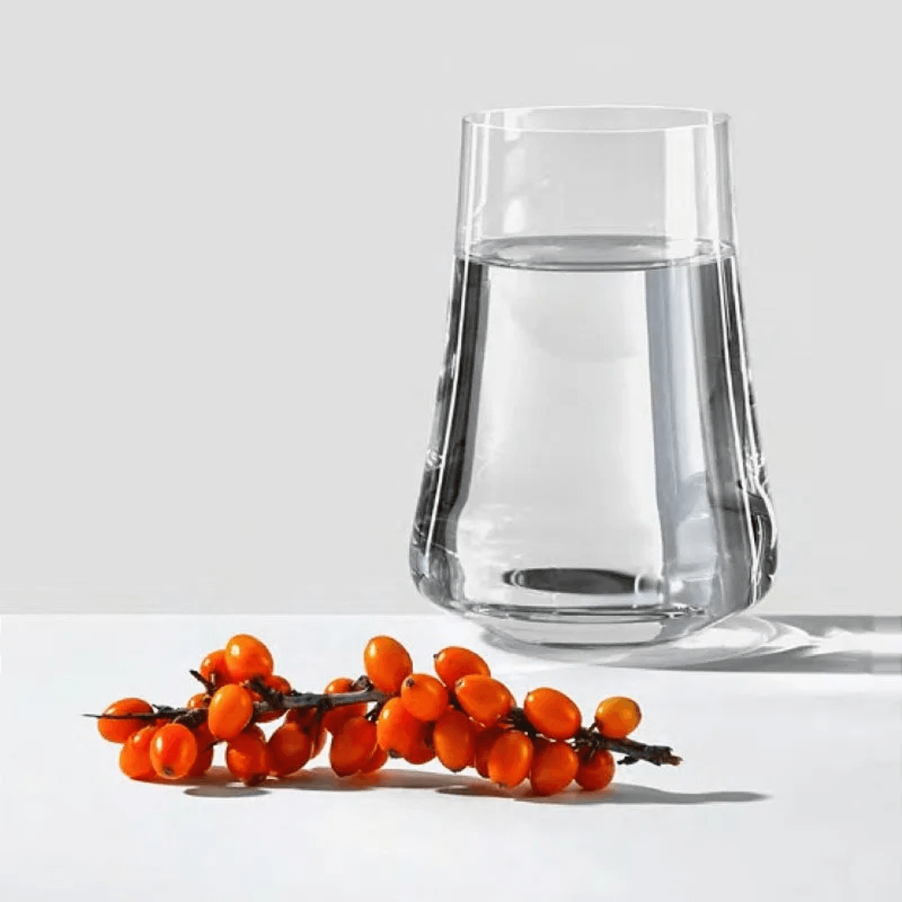 Copo para Água Vintage em Cristal Bohemia 400ml Haus Concept Pleasure