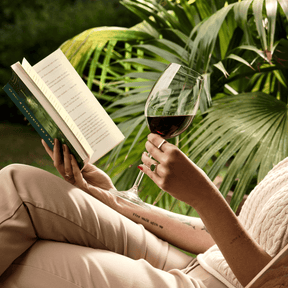 Taça para Vinho Tinto em Cristal Bohemia 450ml Haus Concept Fizzy