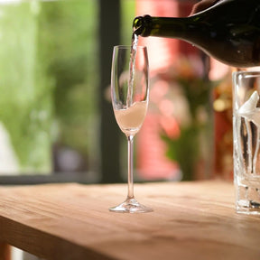 Taça para Espumante em Cristal Bohemia 220ml Haus Concept Fizzy