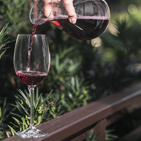 Taça para Vinho Tinto em Cristal Bohemia 450ml Haus Concept Fizzy